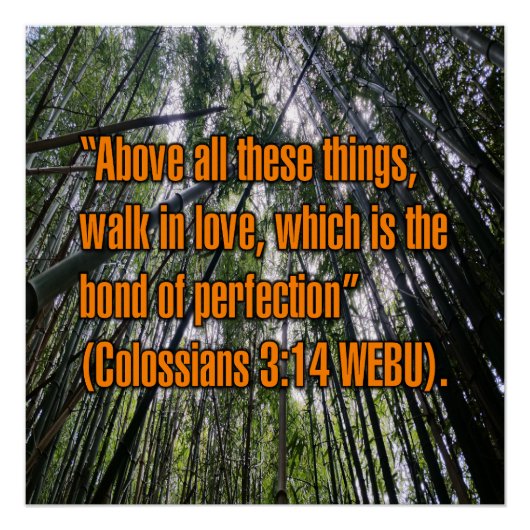 Poster Colossiens 3:14 WEBU (Devant)