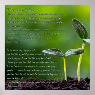 Poster Colossiens 3:3 graphique avec ressort jardin
