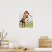 Poster Colt d'élevage (Cuisine)