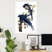 Poster Columbia Jay | John James Audubon (Bureau à domicile)