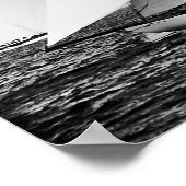 Poster Columbia & Shamrock 1898 (Coin)