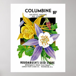 Poster Columbine