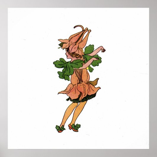 Poster Columbine (Devant)