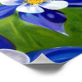 Poster Columbine (Coin)