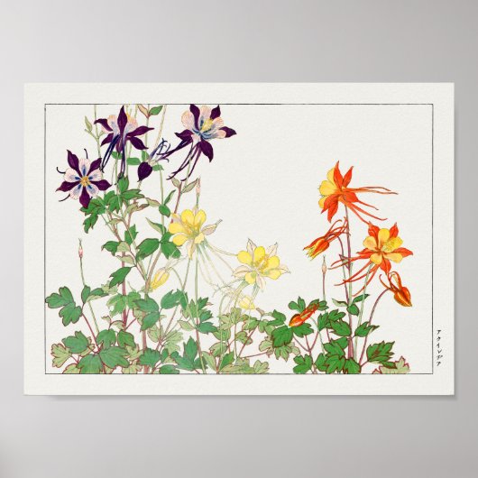 Poster Columbine par Tanigami Konan (Devant)