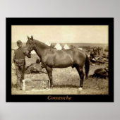 Poster Comanche (Devant)