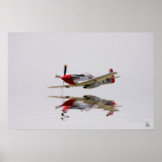 Poster Combat
