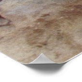 Poster Combattants de l'Enfer de Harlem par H. Charles Mc (Coin)