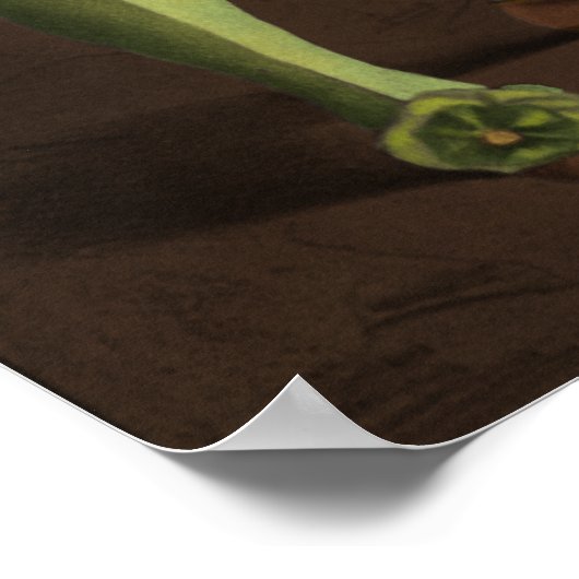 Poster Comédie des erreurs Imprimer (Coin)