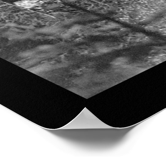 Poster Comet Falls, Mont Rainier, WA 1922 (Coin)