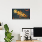 Poster Comète Augsbourg livre miracle 1552 Astronomie spa (Bureau à domicile)