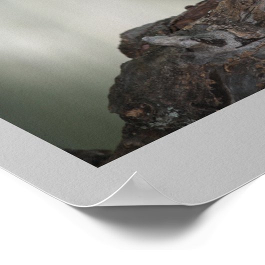 Poster Comfy Dove Print (Coin)