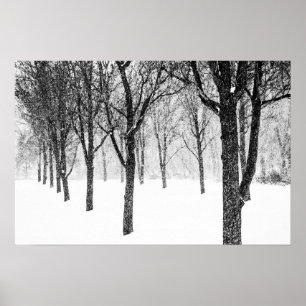 Poster comme je prends le parti des arbres