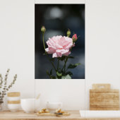 Poster Comme un rose (Cuisine)