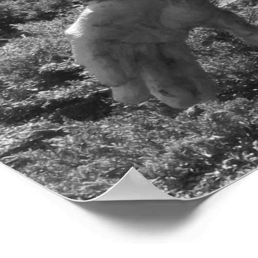 Poster commémoratif de la guerre de Corée (Coin)