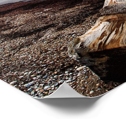 Poster Commencer à partir de maintenant (Coin)