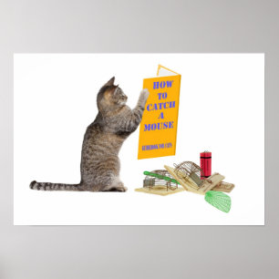 Poster Comment attraper une souris