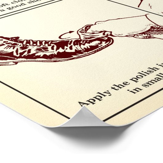 Poster Comment briller vos chaussures Illustrated Guide P (Coin)