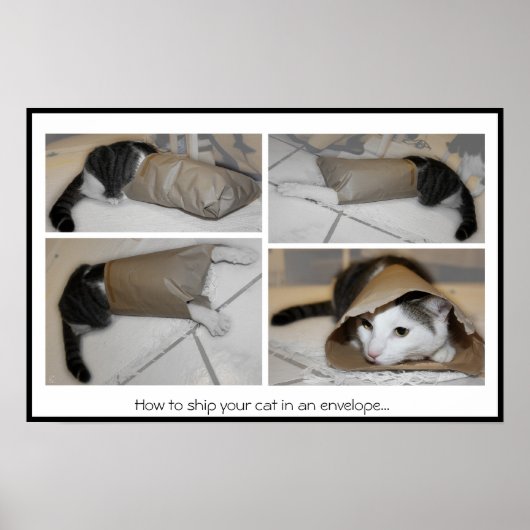 Poster Comment expédier votre chat dans une enveloppe...i (Devant)