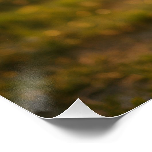 Poster Comment facturer et programmer l'eau (version 1) (Coin)