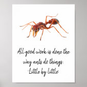 Poster Comment fonctionnent les fourmis (Devant)