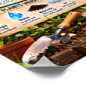 Poster Comment les plantes poussent (Coin)