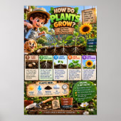 Poster Comment les plantes poussent (Devant)
