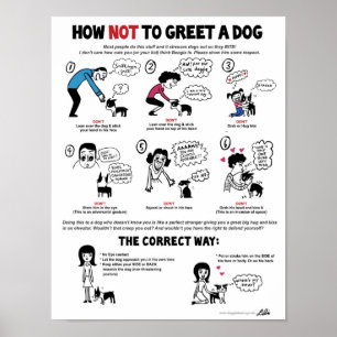 Poster Comment Ne Pas Accueillir Un Chien (11" x 14") Ami