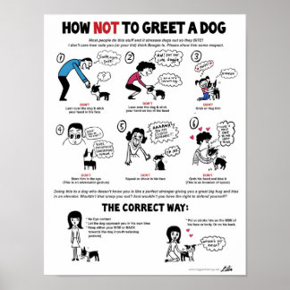 Poster Comment Ne Pas Accueillir Un Chien (11" x 14") Ami