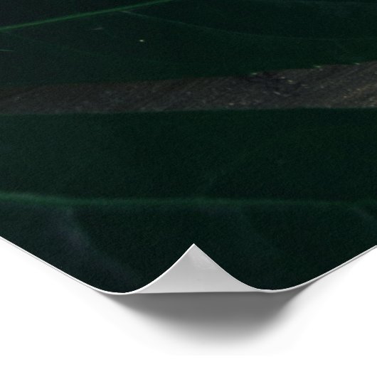 POSTER "COMMENT NOUS VIVONS EST CE QUI NOUS REND VRAIMENT (Coin)