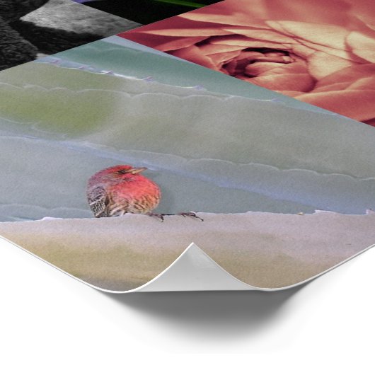 Poster Comment On Le Voit On Aime Lee Daniels (Coin)