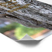 Poster Comment va ta journée ? (Coin)