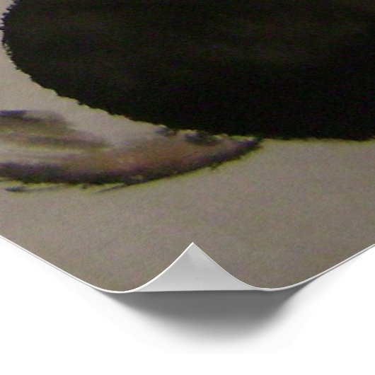 Poster commérages en bambou (Coin)