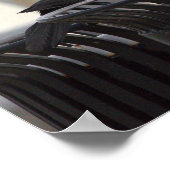 Poster commun d'oiseaux de cagoule (Coin)