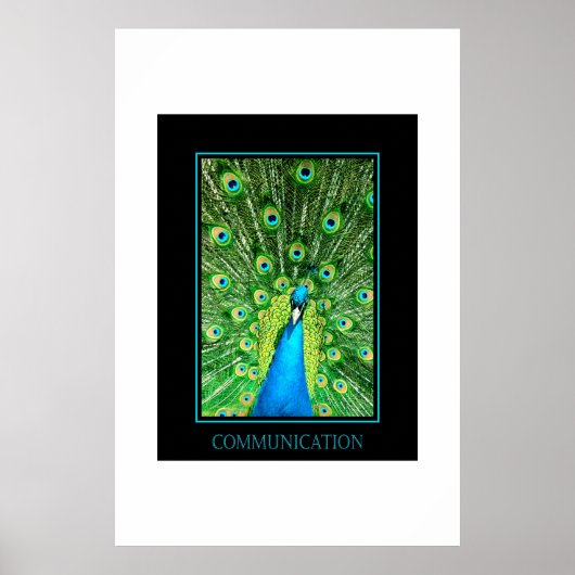 Poster Communication (Devant)