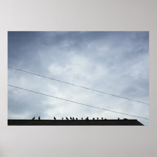 Poster Communications