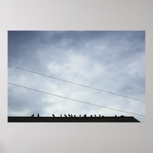 Poster Communications (Devant)