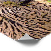 Poster 'Como se llama ? ' (Coin)