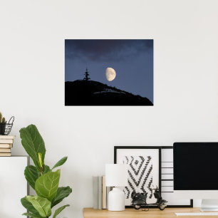 Poster Compagnon solitaire