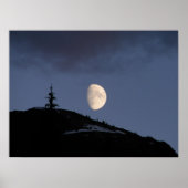 Poster Compagnon solitaire (Devant)