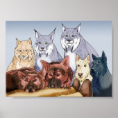 Poster Compagnons - Couleur (Devant)