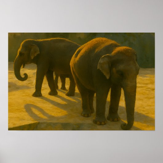 Poster Compagnons d'or - Trio d'éléphants à lumière chaud (Devant)