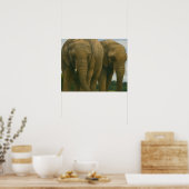 Poster Compagnons éléphants dans la lumière de Savannah (Cuisine)