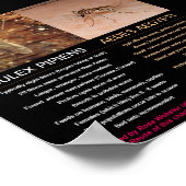 Poster Comparaison de moustiques porteurs de zika par Ros (Coin)