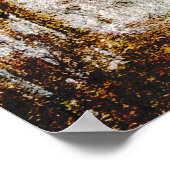 POSTER COMPARER ROSE ADVENTURER (Coin)