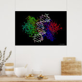 Poster Complexe protéique ADN (Cuisine)