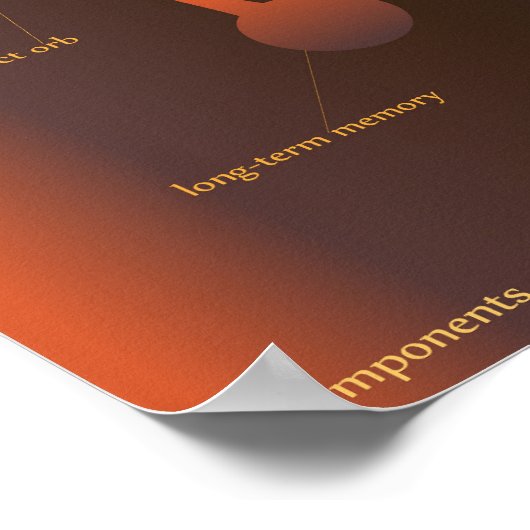 Poster Composantes de la conscience (Coin)