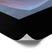 Poster Composite Nautilus (Coin)