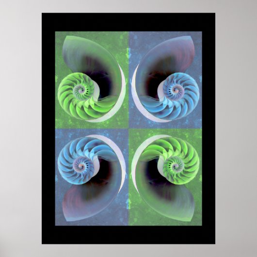 Poster Composite Nautilus (Devant)