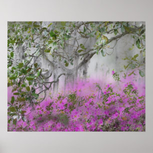 Poster Composite numérique d'azalées et d'arbre magnolia